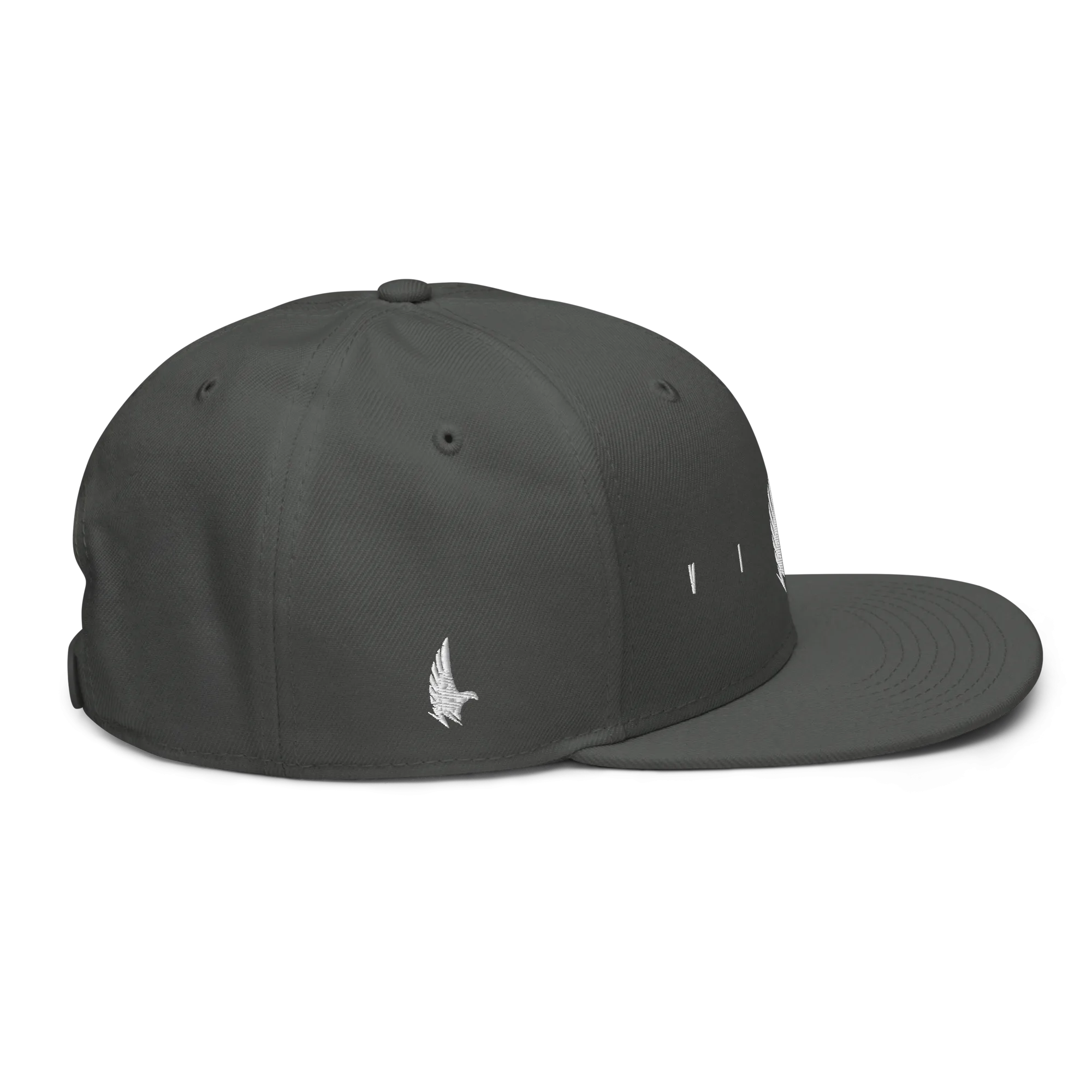 Flex Logo Snapback Hat