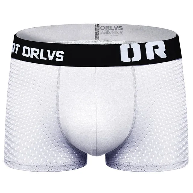 Male underwear men boxer