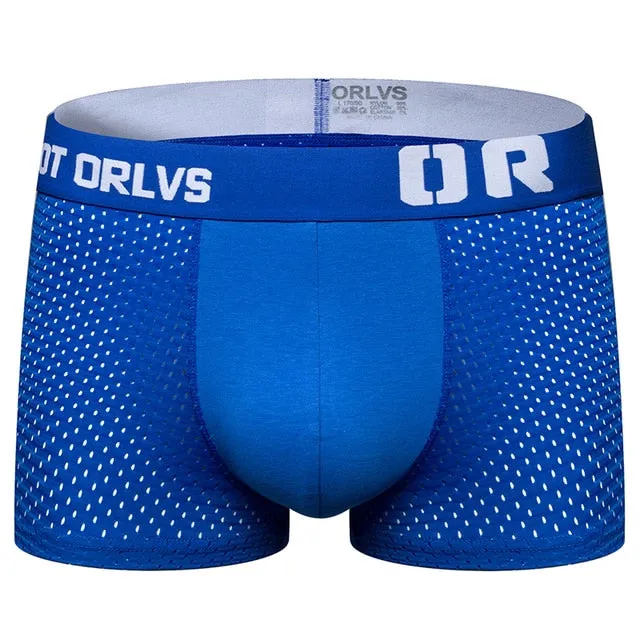 Male underwear men boxer