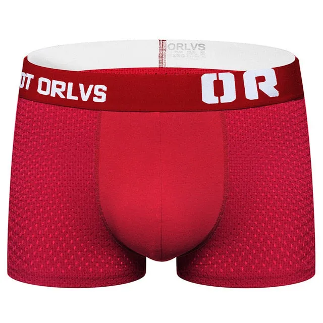 Male underwear men boxer