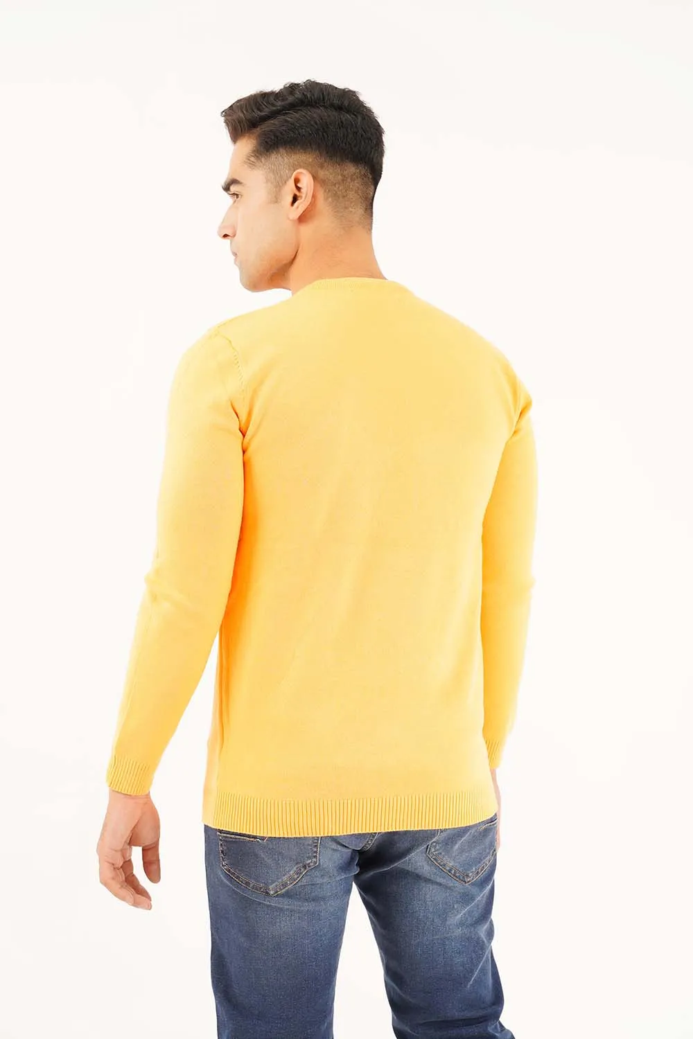 Men's Full Sleeve Round Neck Sweater